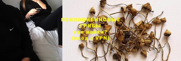 дмт Алексеевка