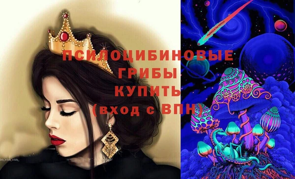 ПСИЛОЦИБИНОВЫЕ ГРИБЫ Алексин
