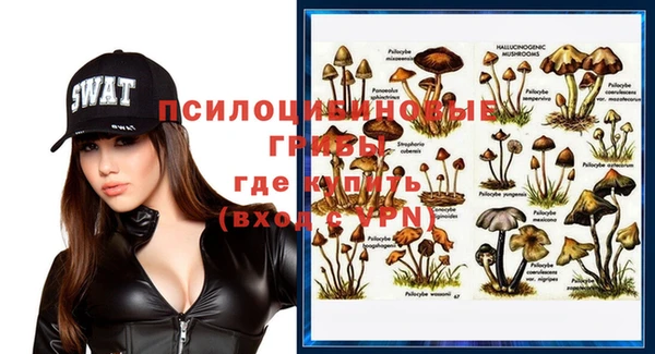 ПСИЛОЦИБИНОВЫЕ ГРИБЫ Алексин