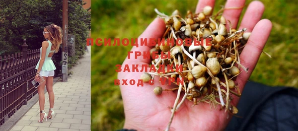 дмт Алексеевка