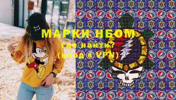 ПСИЛОЦИБИНОВЫЕ ГРИБЫ Алексин