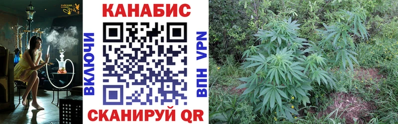 Канабис OG Kush Игарка